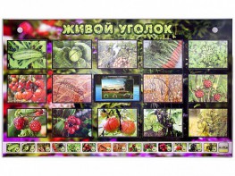 Комплект оборудования "Живой уголок" (растения) с тифлопереводом и сурдокомментариями - fgospostavki.ru - Ивантеевка