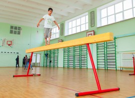 Бревно гимнастическое напольное постоянной высоты (700 мм) (5 м) - fgospostavki.ru - Ивантеевка