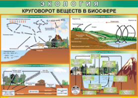 Таблица "Круговорот веществ в биосфере" (100х140 сантиметров, винил) - fgospostavki.ru - Ивантеевка