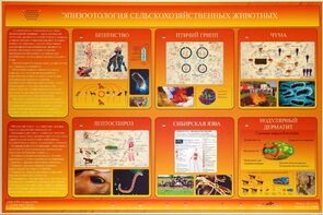 Электрифицированный стенд «Эпизоотология сельскохозяйственных животных» - fgospostavki.ru - Ивантеевка
