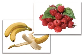 Дидактическое пособие "Фрукты, ягоды, орехи" (24 карточки) - fgospostavki.ru - Ивантеевка