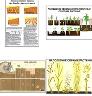 Плакаты ПРОФТЕХ "Агрономия" (5 пл, винил, 70х100) - fgospostavki.ru - Ивантеевка