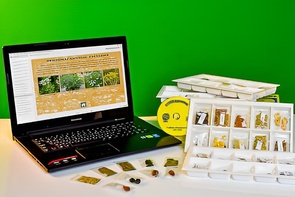 Коллекция натурально-интерактивная "Плоды сельскохозяйственных растений" - fgospostavki.ru - Ивантеевка