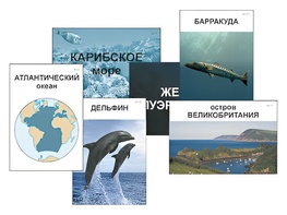 Модель-аппликация "Океаны. Знакомство" (ламинированная) - fgospostavki.ru - Ивантеевка