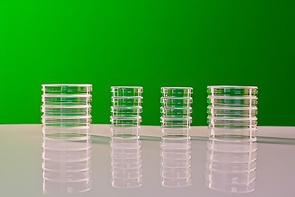 Набор чашек Петри - fgospostavki.ru - Ивантеевка