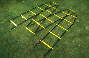 Лестница для тренировок (вариант 1) - fgospostavki.ru - Ивантеевка