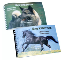 Пособие для слабовидящих - Домашние животные - fgospostavki.ru - Ивантеевка