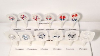 Модель "Митоз и мейоз клетки" - fgospostavki.ru - Ивантеевка