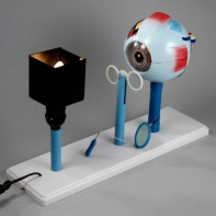 Модель "Зрение" (электрическая) - fgospostavki.ru - Ивантеевка