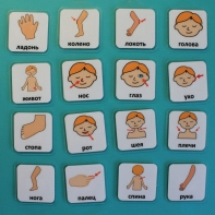 Набор карточек "Части тела" - fgospostavki.ru - Ивантеевка