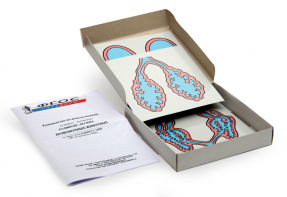 Модель-аппликация "Развитие легких позвоночных животных" (набор из 5 карт) - fgospostavki.ru - Ивантеевка