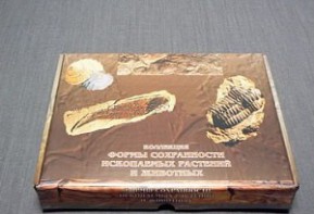 Коллекция "Формы сохранности ископаемых растений и животных" - fgospostavki.ru - Ивантеевка