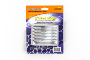 Набор микропрепаратов для микроскопа №5 «Насекомые» - fgospostavki.ru - Ивантеевка