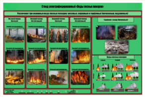Стенд-планшет электрифицированный «Виды лесных пожаров»  - fgospostavki.ru - Ивантеевка