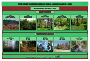 Стенд-планшет электрифицированный «Оценка пожарной опасности в лесах»  - fgospostavki.ru - Ивантеевка