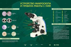 Электрифицированный стенд "Устройство микроскопа и правила работы c ним" - fgospostavki.ru - Ивантеевка