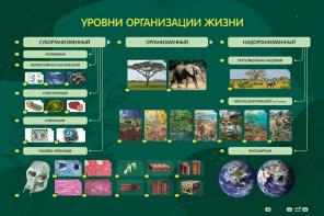 Электрифицированный стенд "Уровни организации жизни" - fgospostavki.ru - Ивантеевка