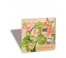 Панель «Жизненный цикл бабочки» - fgospostavki.ru - Ивантеевка