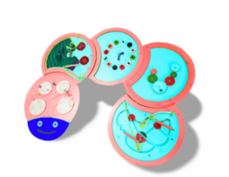 Тактильно-развивающая панель «Гусеница» - fgospostavki.ru - Ивантеевка