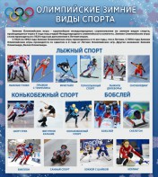 Стенд "Олимпийские зимние виды спорта" - fgospostavki.ru - Ивантеевка