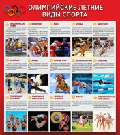 Стенд "Олимпийские летние виды спорта" - fgospostavki.ru - Ивантеевка