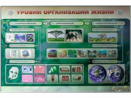 Электрифицированный стенд "Уровни организации жизни" - fgospostavki.ru - Ивантеевка