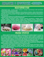 Стенд "Биология в профессии "повар"" - fgospostavki.ru - Ивантеевка