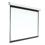 Экран настенный с электроприводом DSEF-16909 - fgospostavki.ru - Ивантеевка
