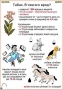 Комплект кодотранспарантов "Ядовитые растения" - fgospostavki.ru - Ивантеевка