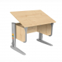 Школьная парта-трансформер с 5 лет, размер 75x50x53(до 81.5) - fgospostavki.ru - Ивантеевка